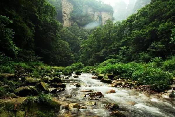 跟着一个没有系统思维的领导是什么感觉？游戏画面